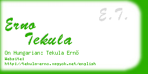 erno tekula business card